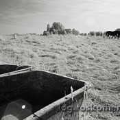 Neue s/w Fotos vom Niederrhein