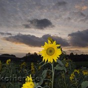 Abendstimmung in Kempen – so schön kann der Oktober sein