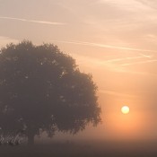 Herbsttag am Niederrhein