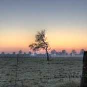 Herbstfarben bei Sonnenaufgang