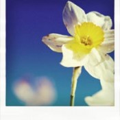 Neuer Blogtitel und Design