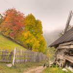 Herbstfoto aus Meran Italien, Merano Italy