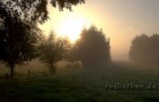 Der Herbst ist da – Herbstfoto vom Niederrhein