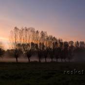 Weiden im Herbst – Sonnenaufgang